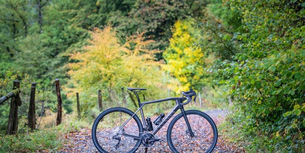 🚴 Bicicletas de gravel vs bicicletas de carretera: ¿qué opción elegir?