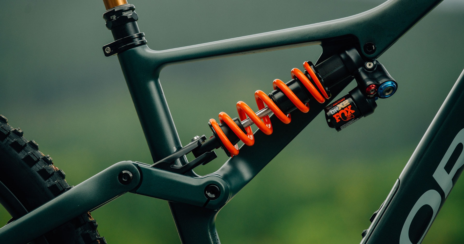 🏆 Guía completa para elegir la bicicleta de montaña perfecta según tu nivel