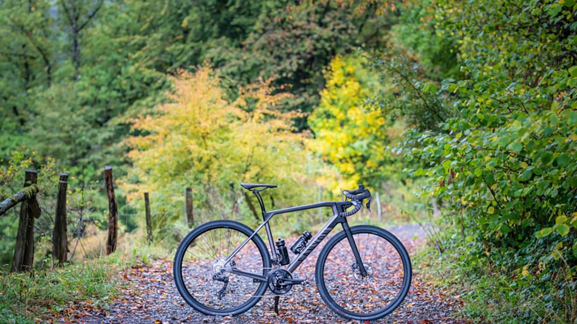 🚴 Bicicletas de gravel vs bicicletas de carretera: ¿qué opción elegir?